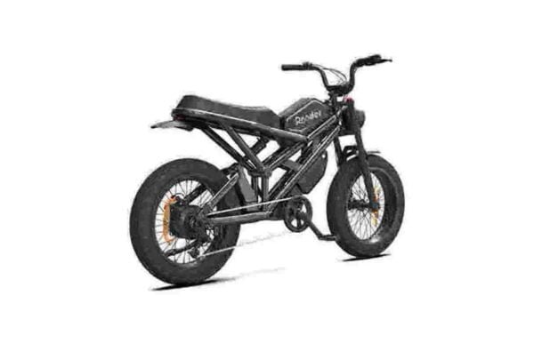 Elektrische fiets met 3 wielen voor volwassenen fabriek