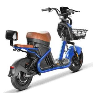 Elektrische motorfiets van 3000 W fabriek