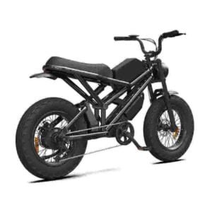 Fiets met dikke banden van 750 watt fabriek