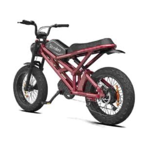 Ebike met dikke banden van 750 watt fabriek