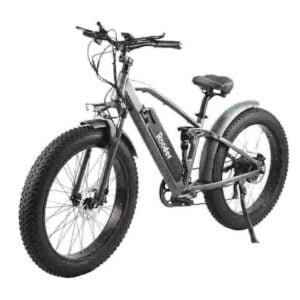 Elektrische fiets van 750 watt fabriek