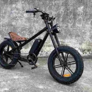 betaalbare e-bikes fabriek