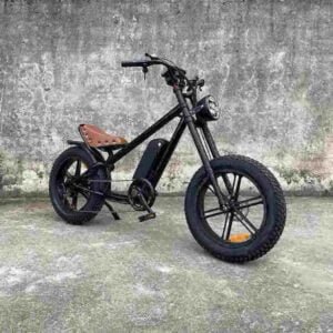 beste e-bike voor woon-werkverkeer fabriek