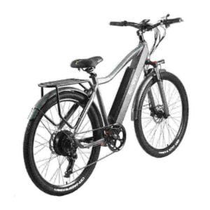 Best beoordeelde elektrische fietsen met dikke banden fabriek