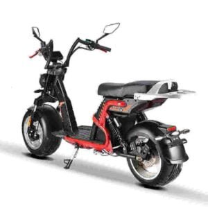 Citycoco elektrische scooter van 1000 watt fabriek