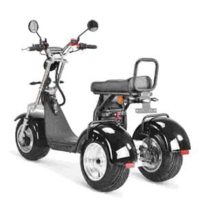 Citycoco-scooter 3000w fabriek