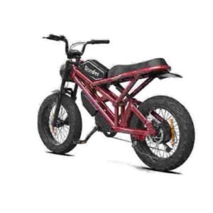 Aangepaste e-bike fabriek