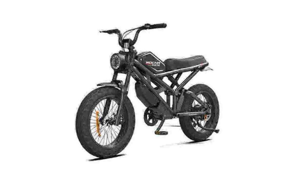 E-bike 1000w fabriek