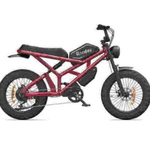 Ebike Fatbike fabriek