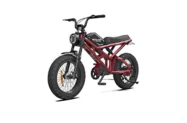 Ebike voor zware mannen fabriek