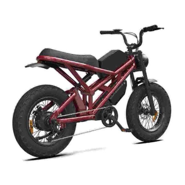 ebike racefiets fabriek