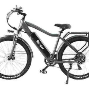 ebike met dikke banden fabriek