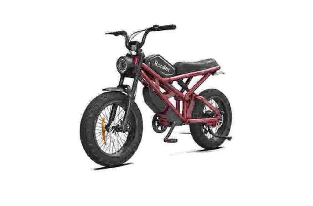 Fat Tire elektrische fiets 750w fabriek