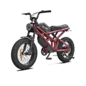 Fat Tire elektrische fiets 750w fabriek