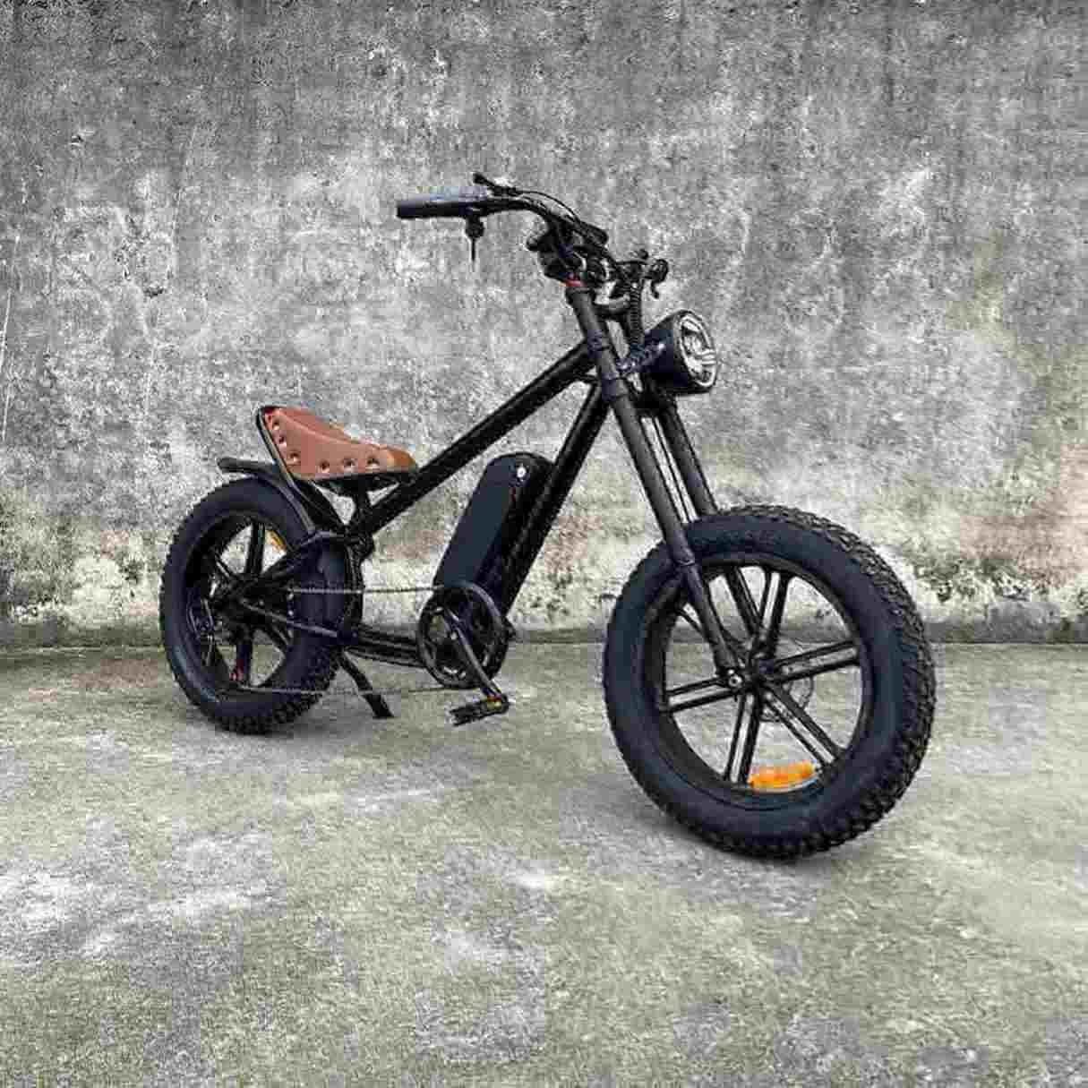 Opvouwbare elektrische stadsfiets fabriek Opvouwbare elektrische stadsfiets fabriek
