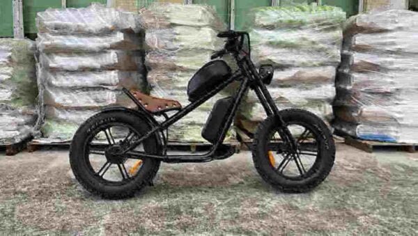 Elektrische vouwfiets voor heren fabriek