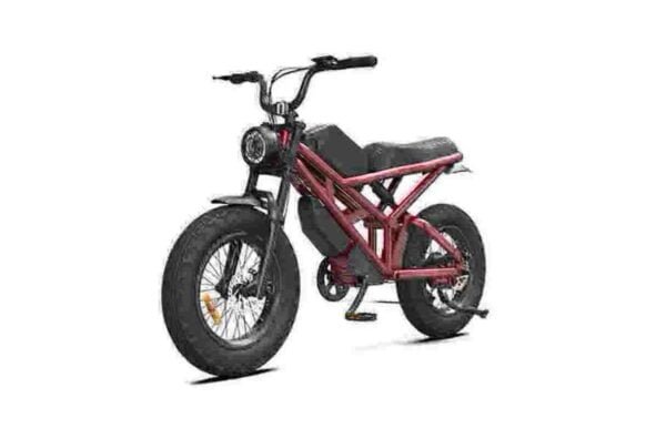 Meest krachtige Fat Tire Ebike fabriek