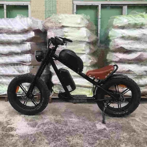 Elektrische fiets met brede banden fabriek