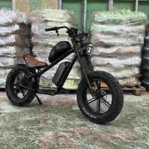 beste elektrische fiets van 1000 watt fabriek