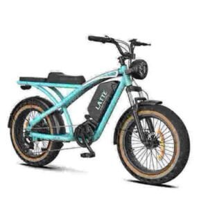 beste ebike voor zware rijders fabriek